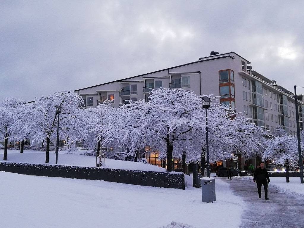 Vintervy
